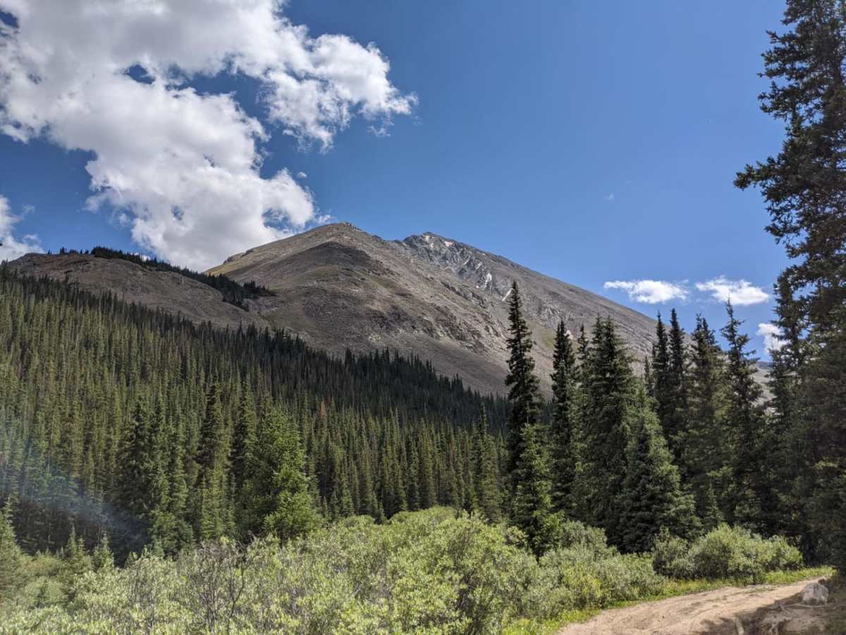 Grizzly Gulch trail photo