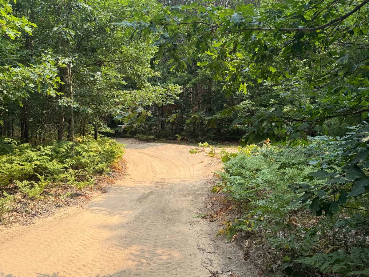 West Buchanan-Pierce Trail photo 4