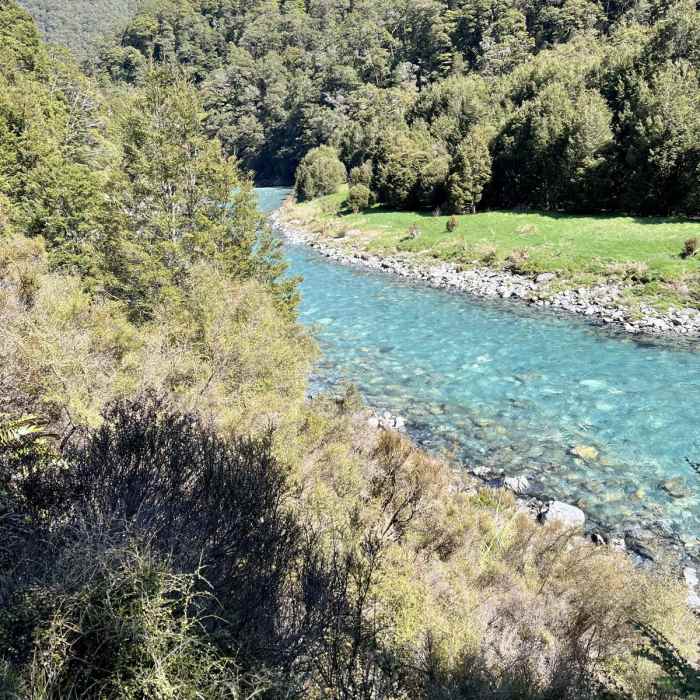 Near Blue Pools Forest Walk