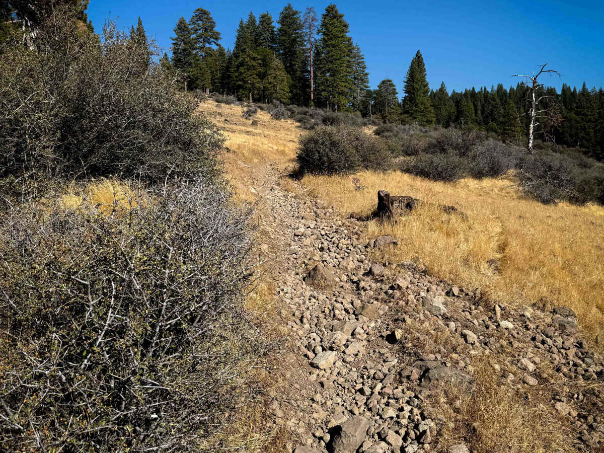 17EV104 trail photo