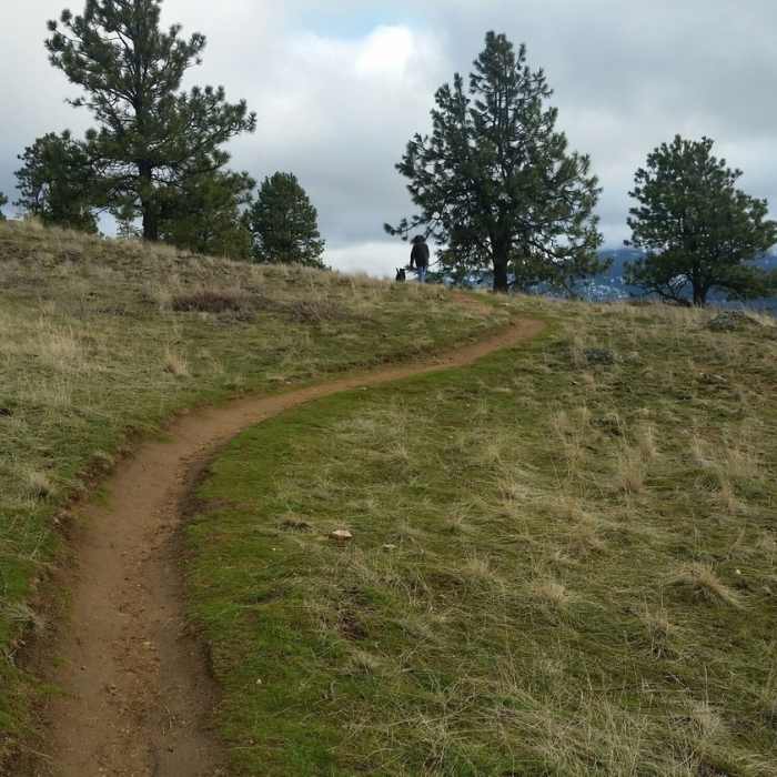 Near Uplands Loop