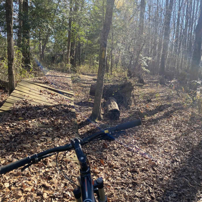 Near The Palmetto Trail: Lake Marion Passage