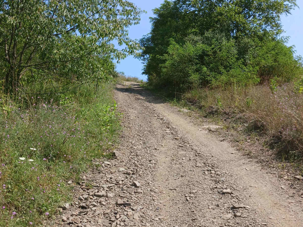Little Buck Hill - Rock Run Recreation Area photo 2