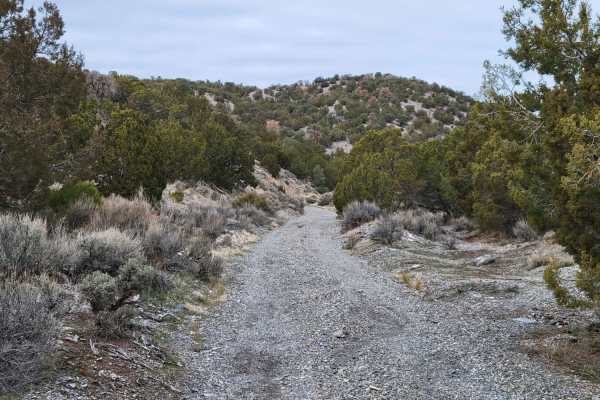 Dip Gulch Road