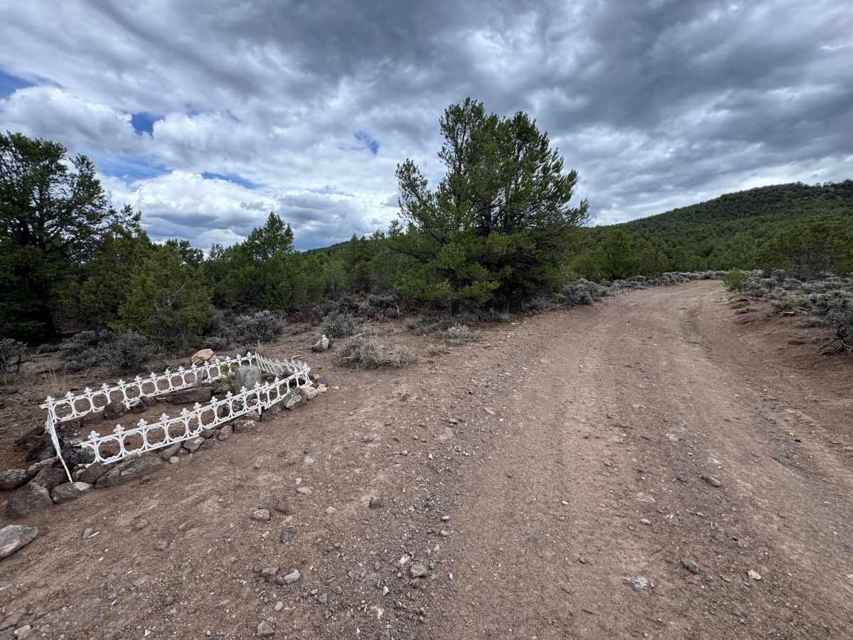 Little Cemetery Road photo 2