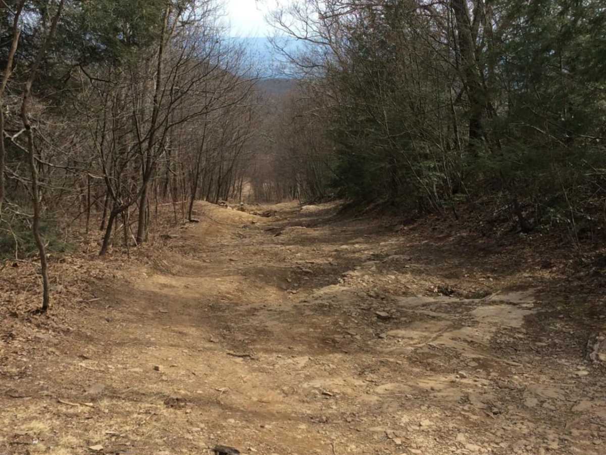 Flagpole Knob trail photo