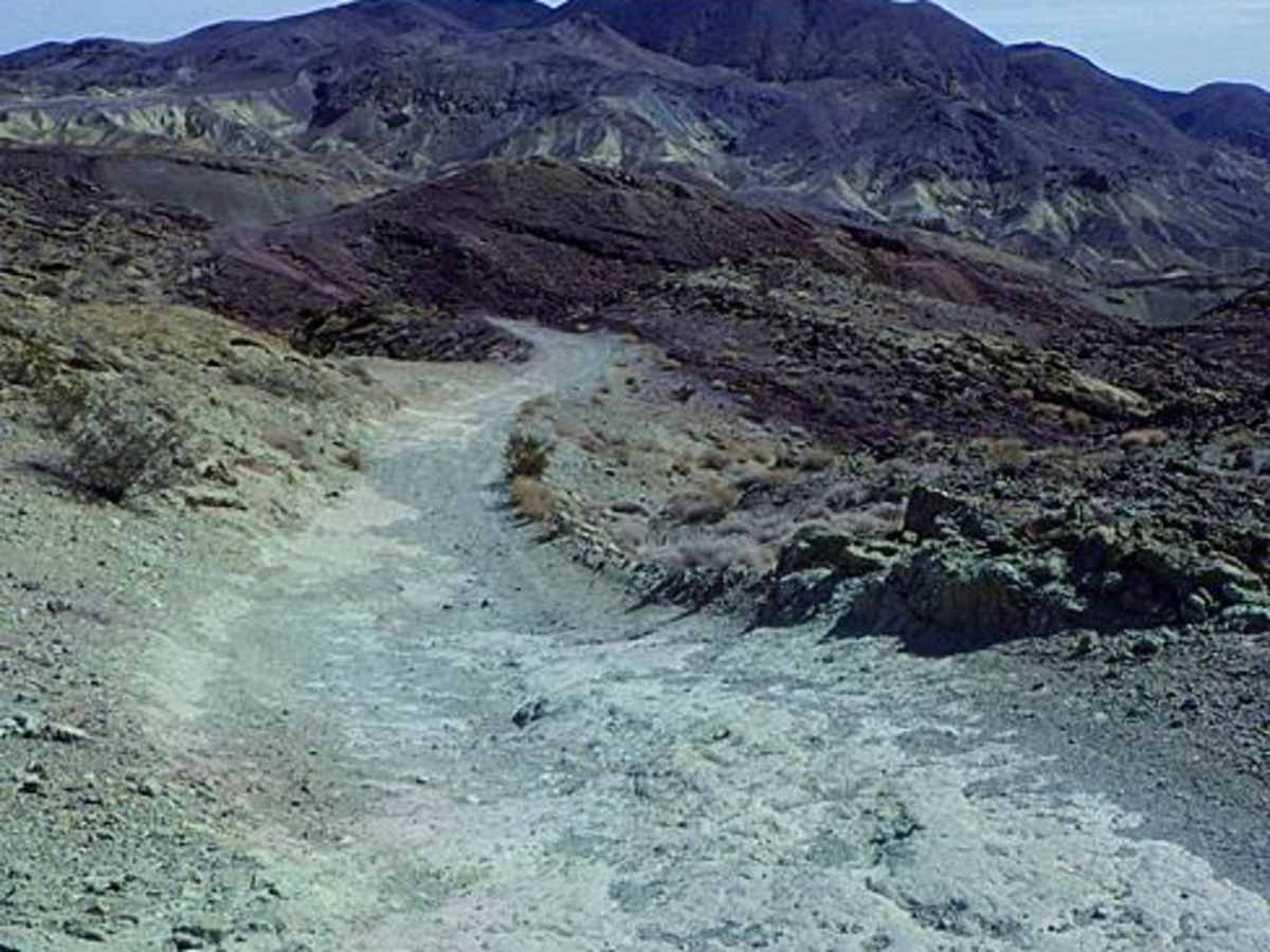 Phillips Loop photo 6
