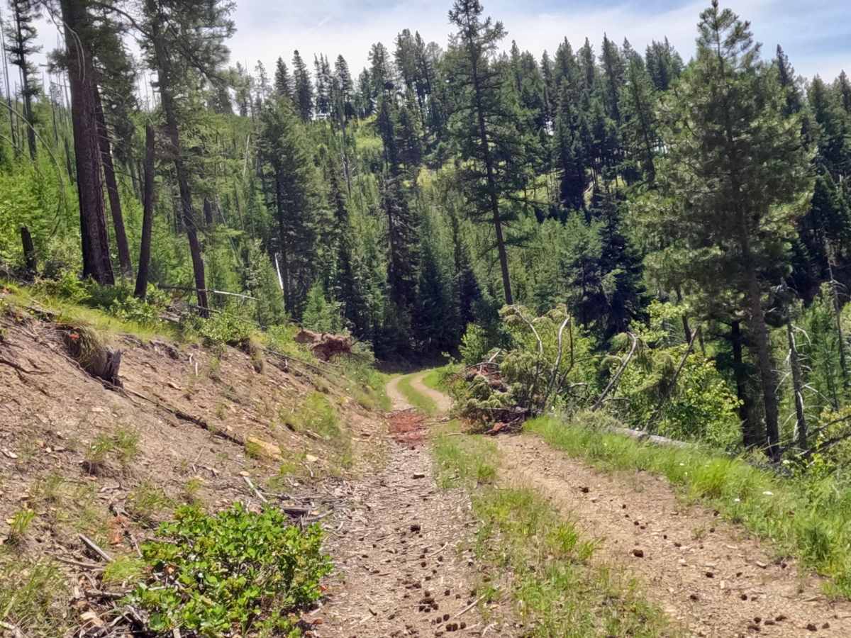 Deep Gulch Route photo 5
