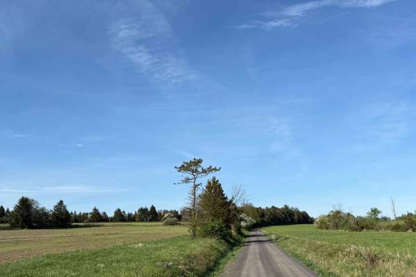 Randts Mill Road 