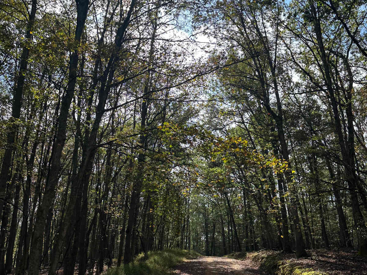 Treasure Road  photo 5