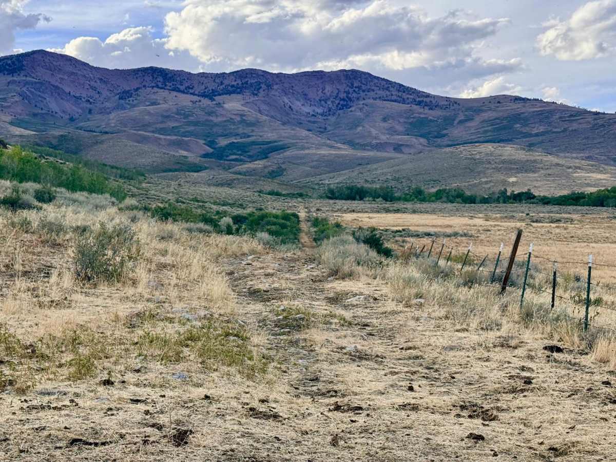 Independence - FS 16209 photo 6