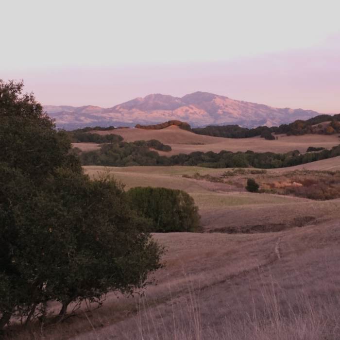 Near Briones Regional Park Loop