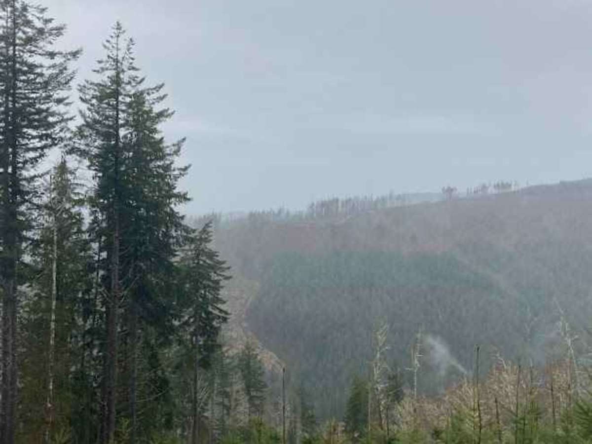 Buck Ridge B Line Connector photo 5