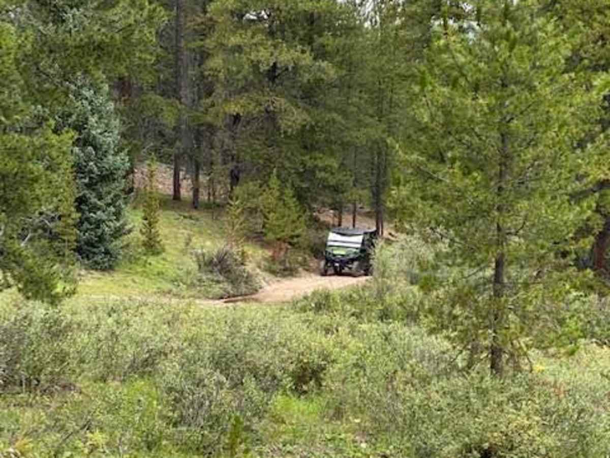 Cameron Creek photo 2