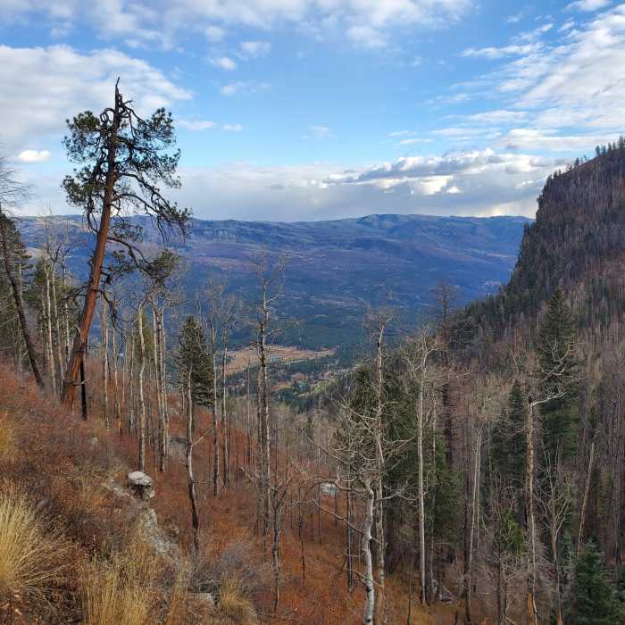 Near Goulding Creek