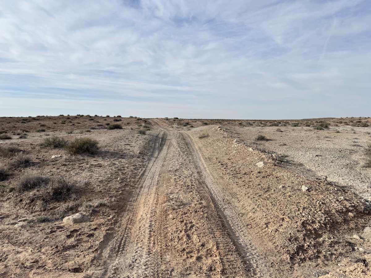 Gillis Ranch photo 4