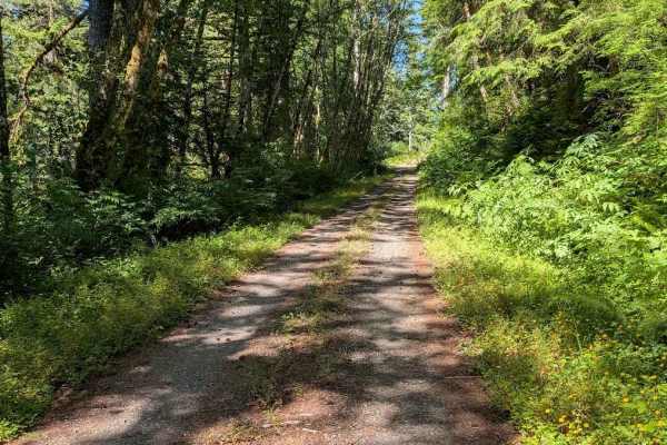 Lake Creek Rd - FS 3210