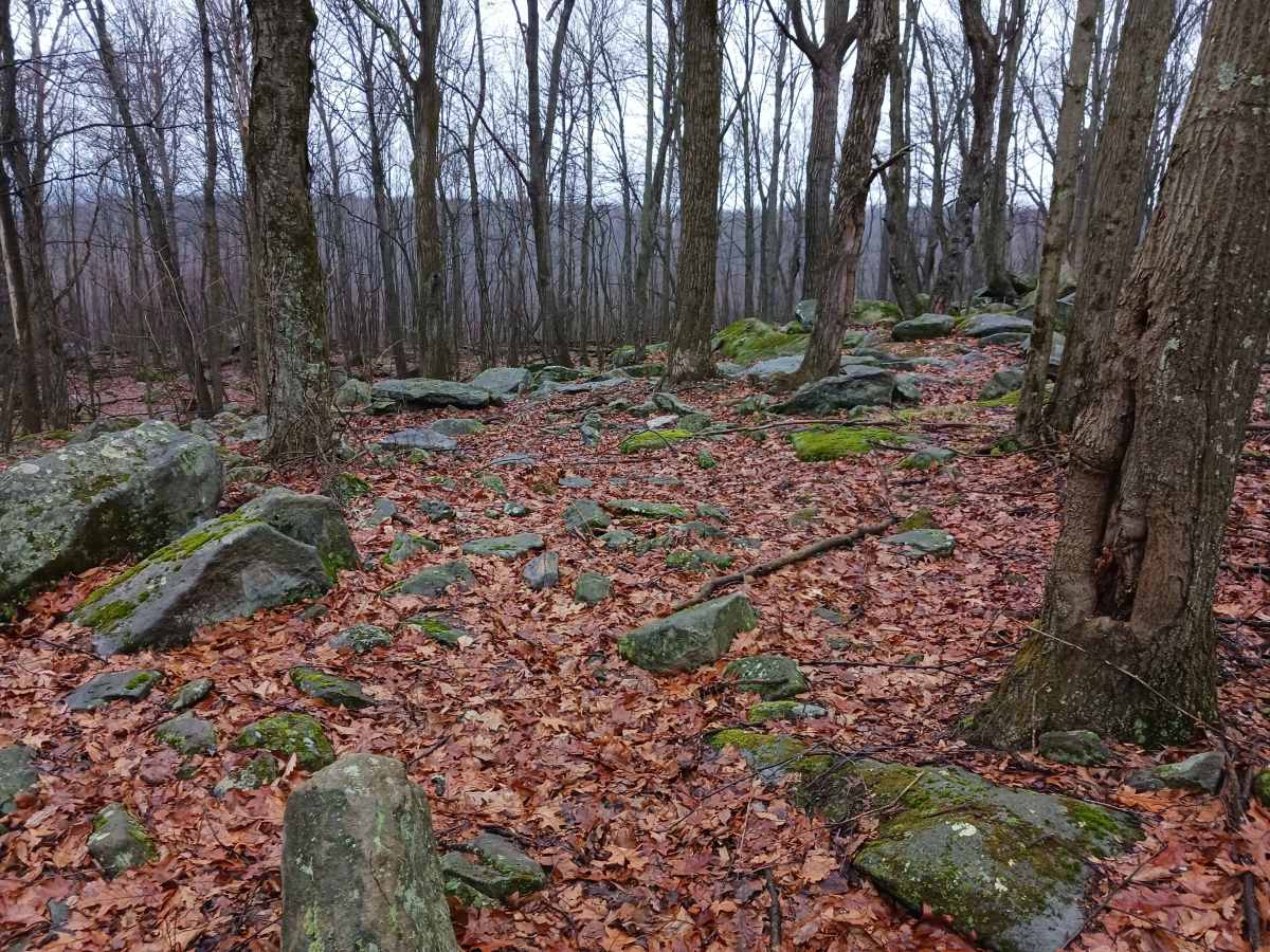 OHV 41 - Rock Run Recreation Area photo 2