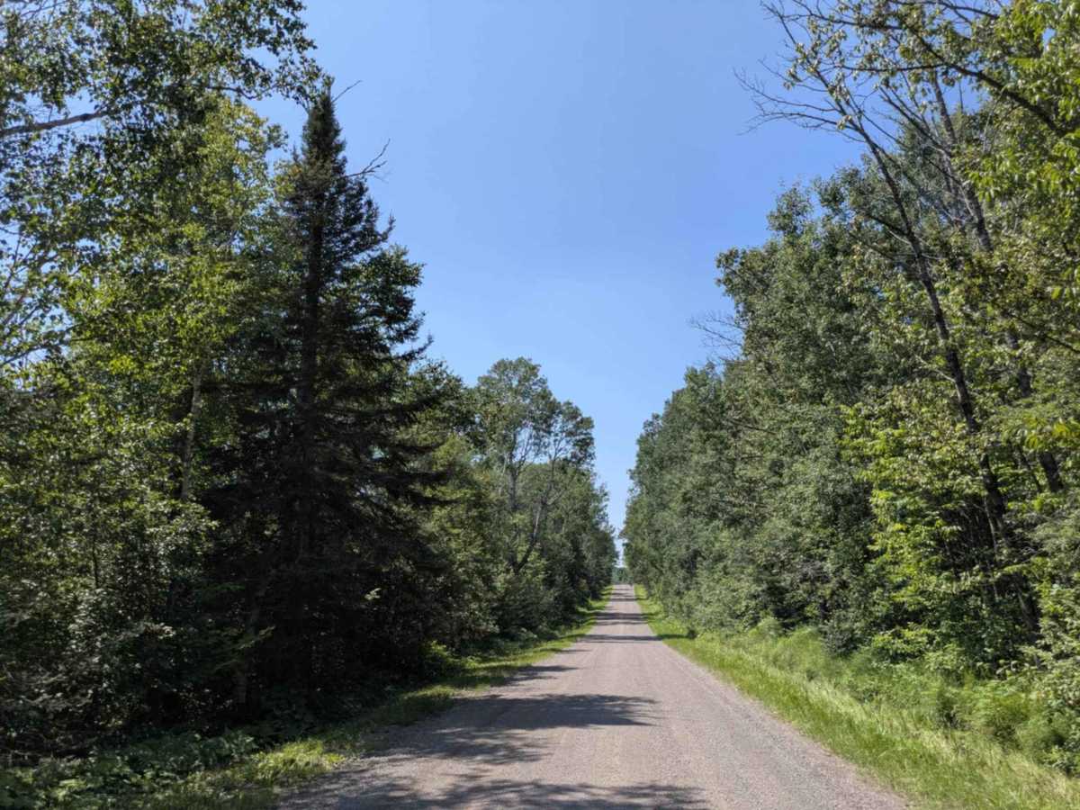 County Road 60 photo 5