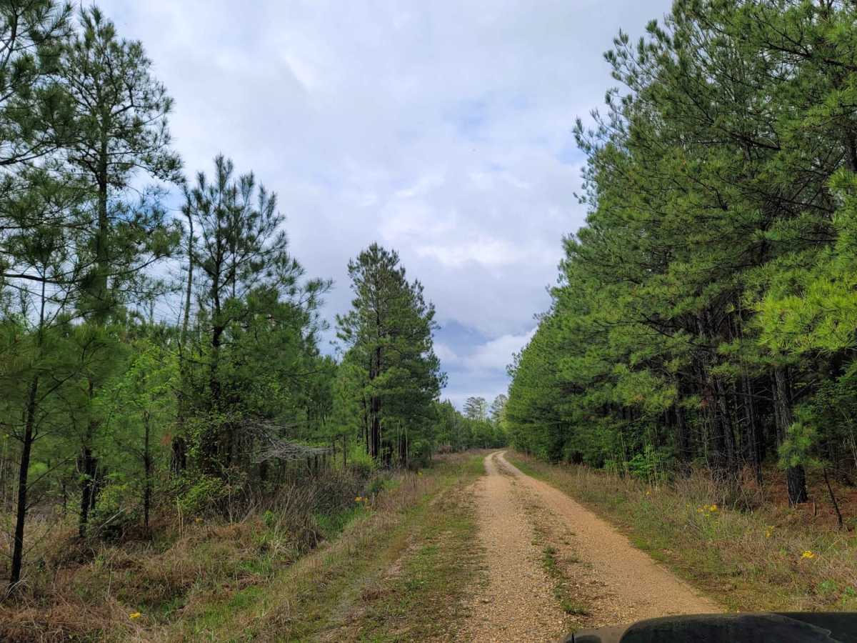 The Arkansas Overland Route - Section 11 - County Road 30 and 32 photo 6