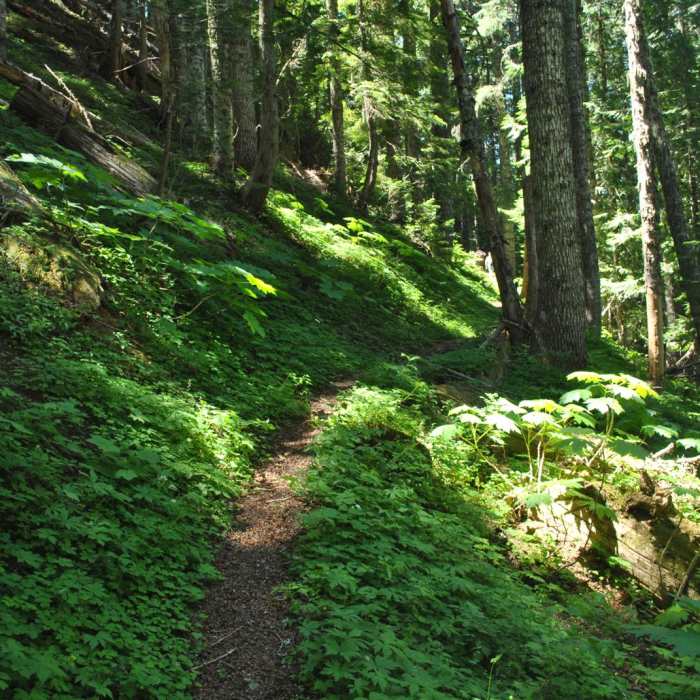Near Zig Zag Mountain via the Horseshoe Ridge Trail