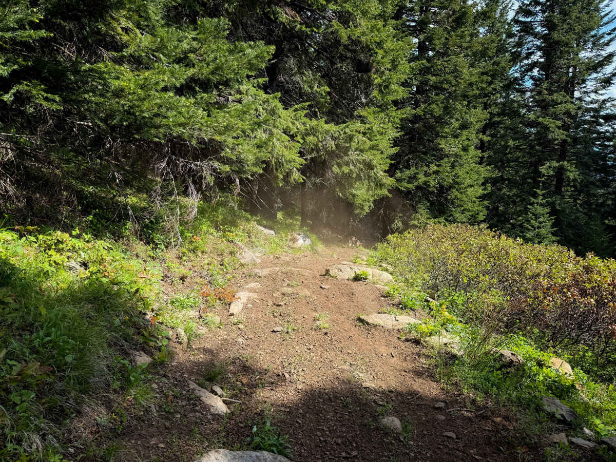 Upside - Trail 490  photo 3