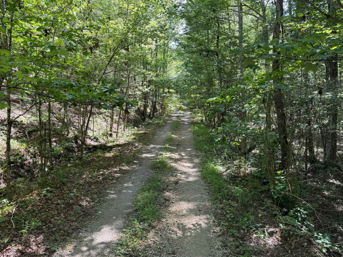 Shirley Creek Spur photo 2