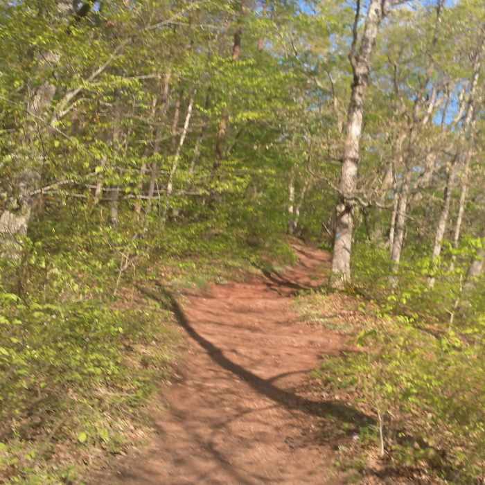 Calf buster of a short incline. There is a bench at the top if you need a rest. Near Stone Bridge Loop Trail