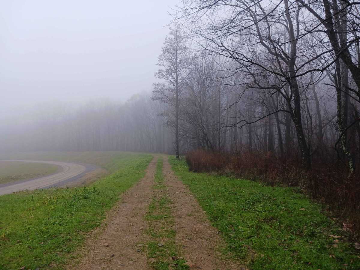 High Oak - Rock Run Recreation Area photo 4