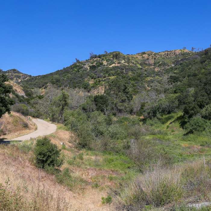 Near Hollywood Sign and Bronson Caves