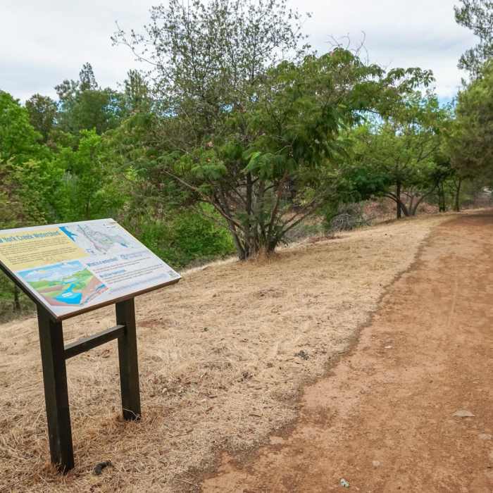 Near New York Creek Nature Trail