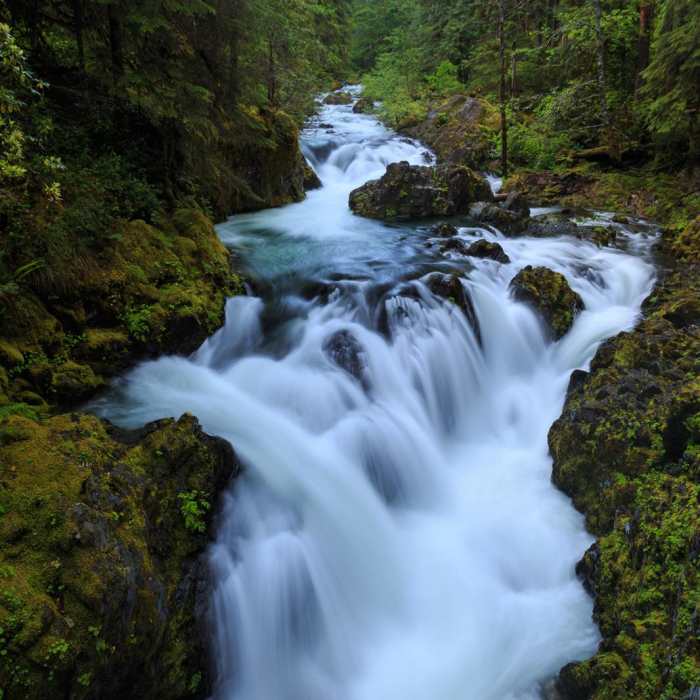 Near Opal Creek Hiking Trail