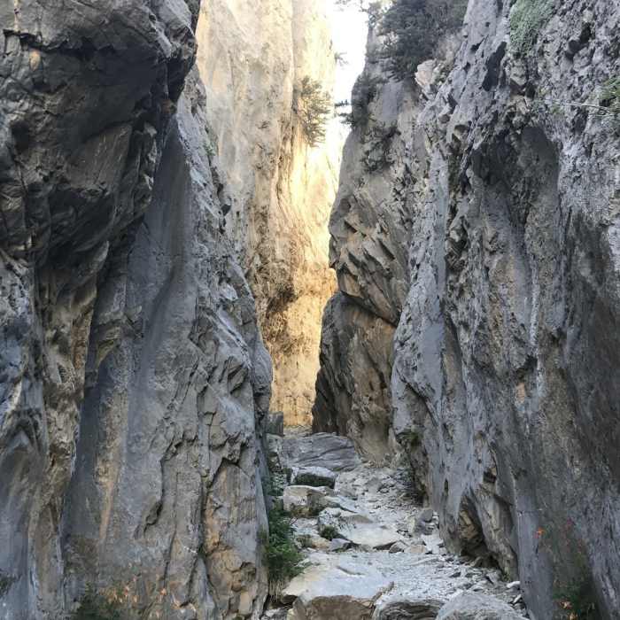 Near Fletcher Canyon Trail