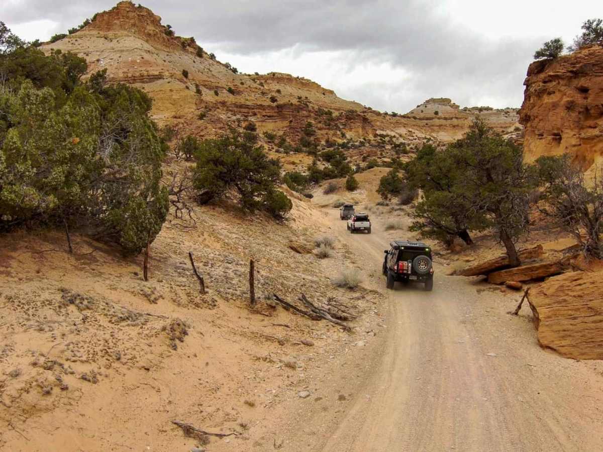 Muddy Creek Wilderness Trail photo 5