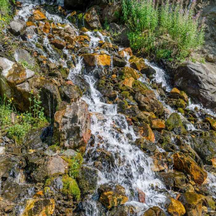 Near Mineral Fork Near Mineral Fork