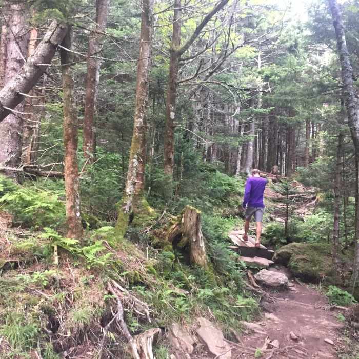 Small bridge on trail Near Mount Mitchell Challenge