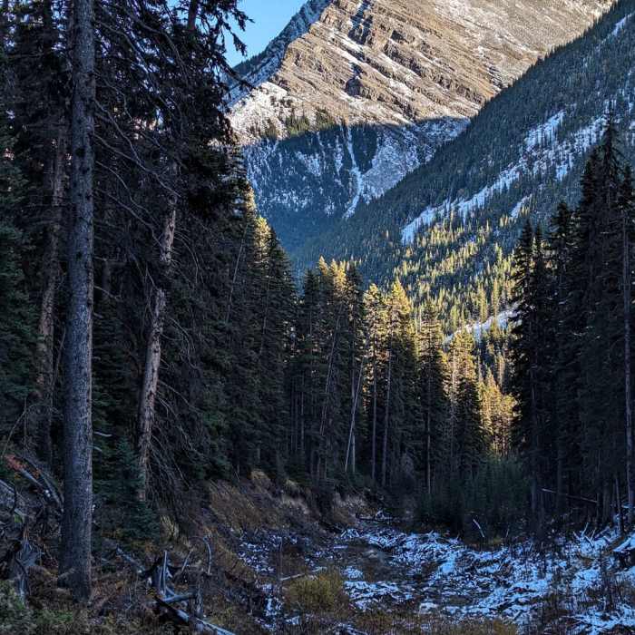 Near Galatea Lakes Trail