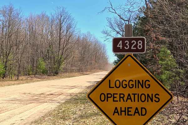 Hughes Lake Road - FS 4328