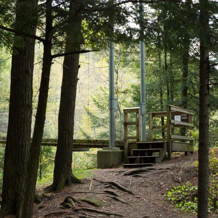 Near Prospect Rock Near Prospect Rock