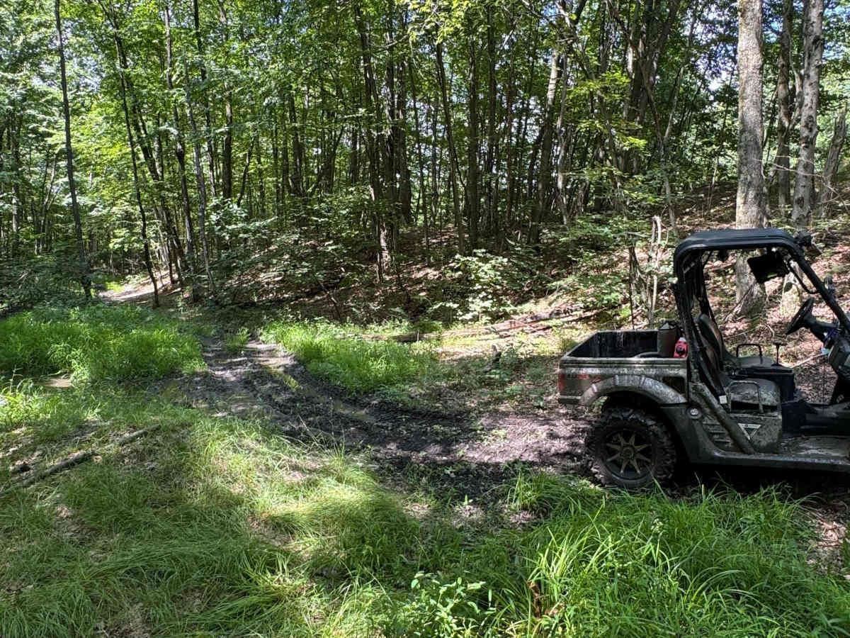 Trail 44 photo 5