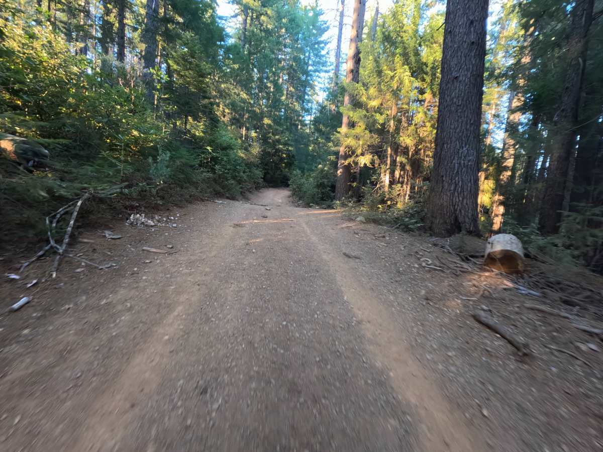 Grizzly Ridge - FS 37 photo 3