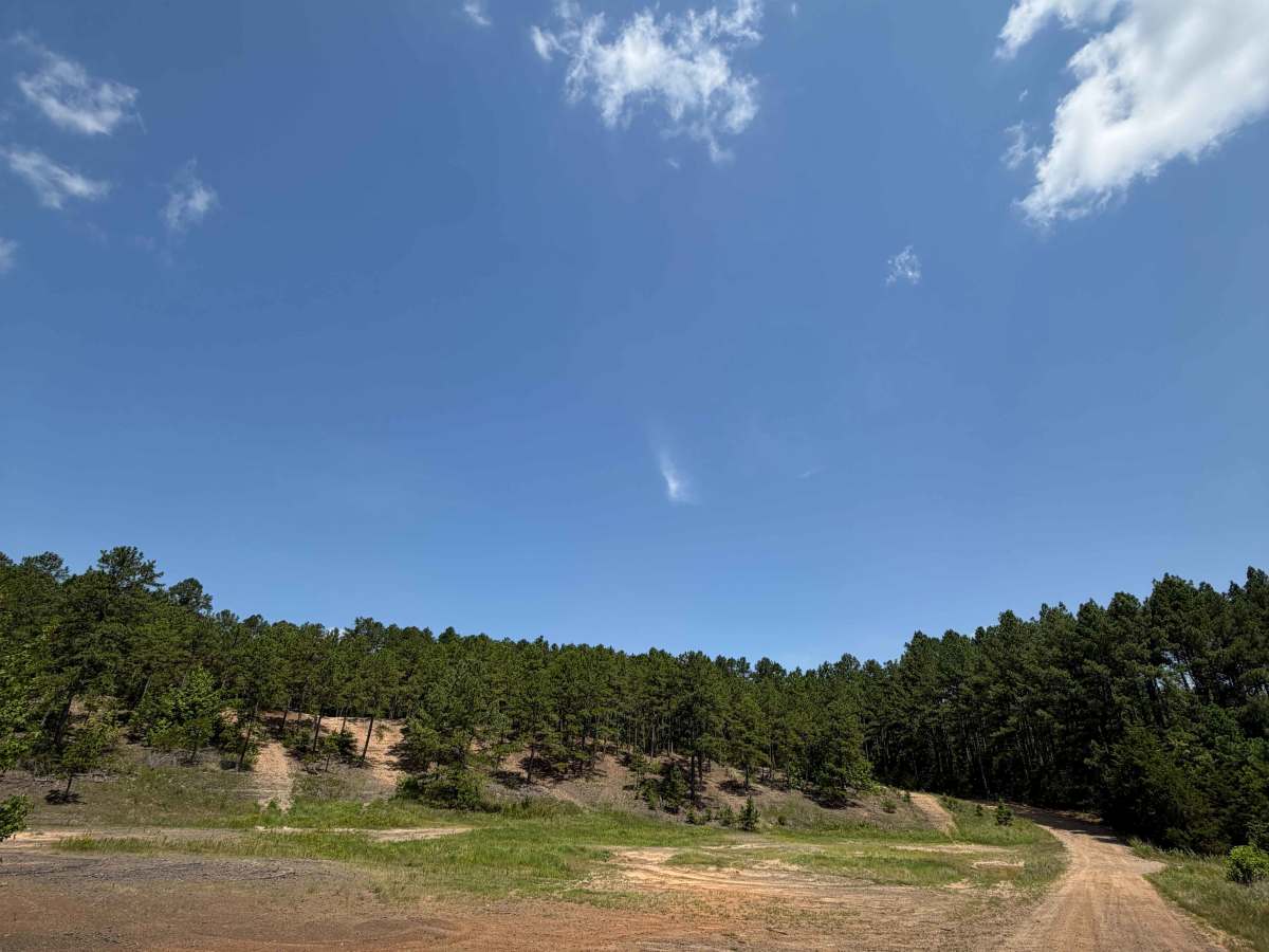 Driver Creek Boat Ramp trail photo
