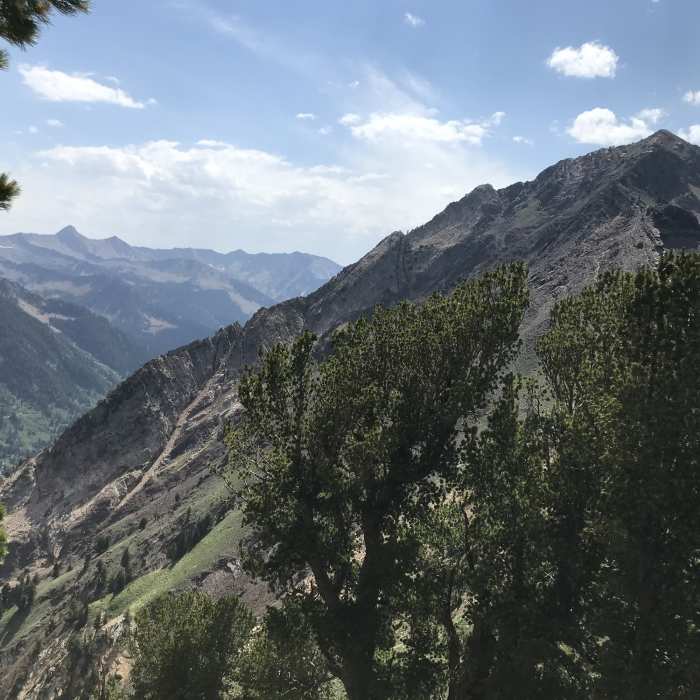 Near Mt. Superior Trail