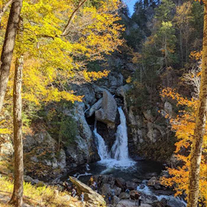 Near Bash Bish Falls Trail