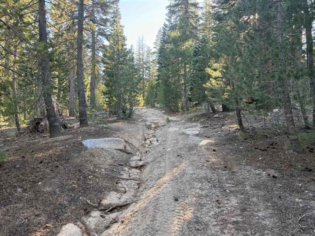 Blue Basin Road - FS 31096 photo 6