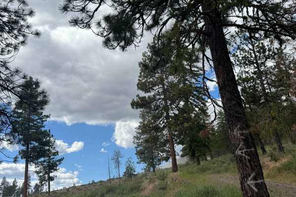 Garrett Canyon Road