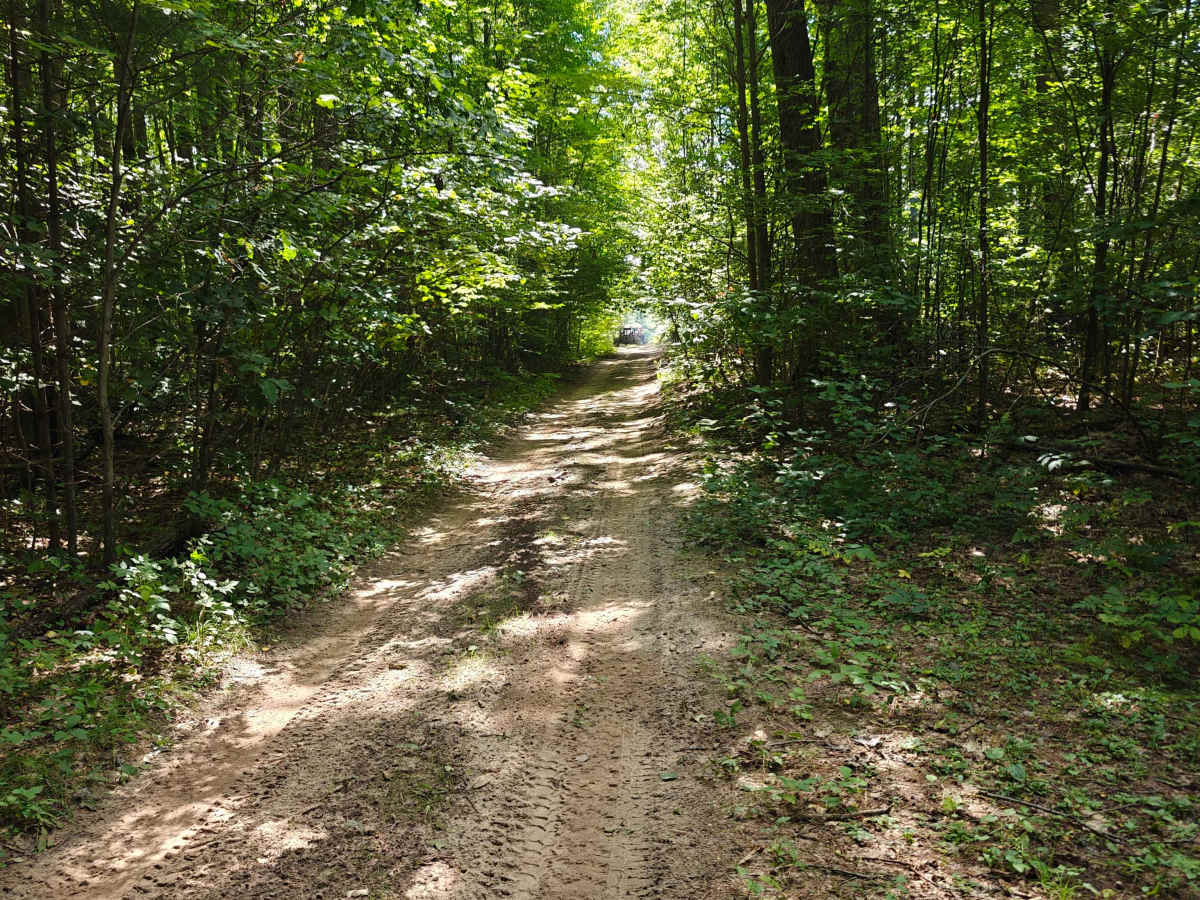 Cut Trail photo 3