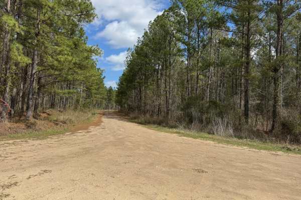 Gibson Island Road