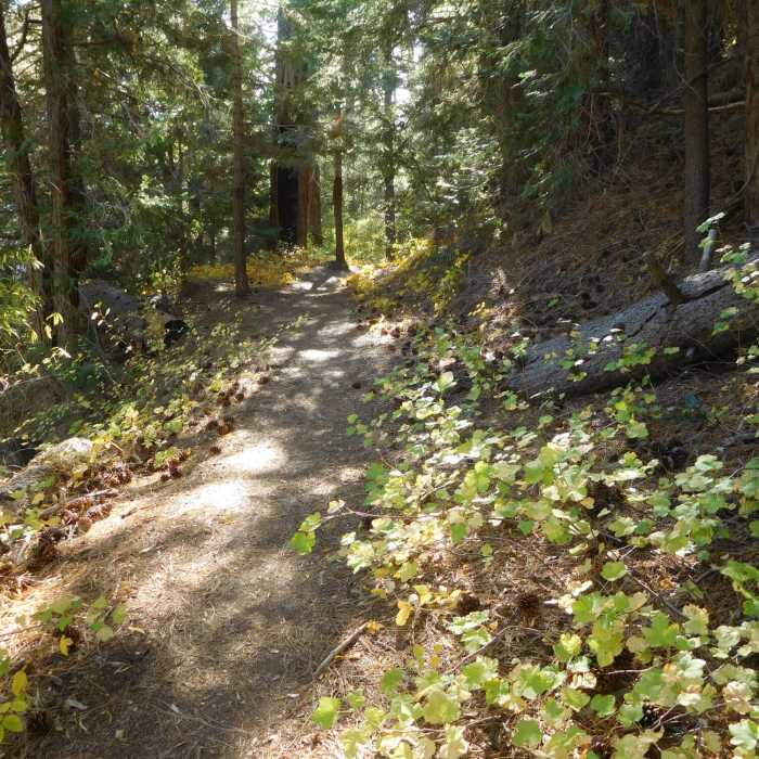 Mine Gulch Trail near Vincent Gap. Near Big Horn Mine Trail