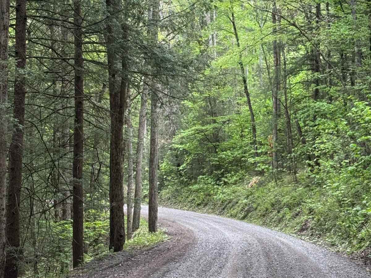 Osborne Road photo 4